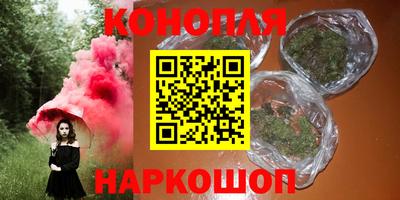 гашик Бузулук