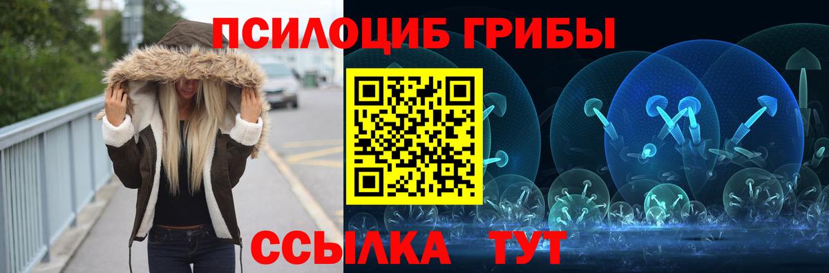Галлюциногенные грибы мицелий Новозыбков